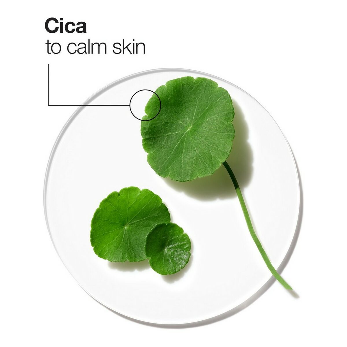 S0583789_5 S0583789_5